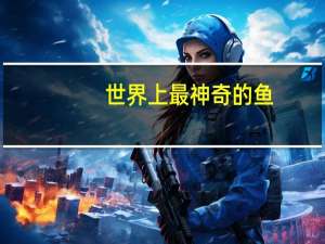 世界上最神奇的鱼