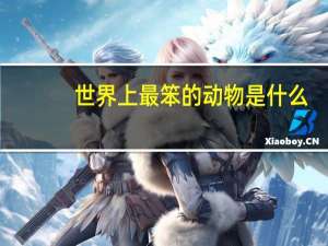 世界上最笨的动物是什么