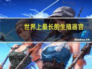 世界上最长的生殖器官