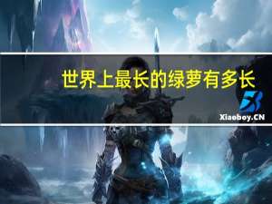 世界上最长的绿萝有多长