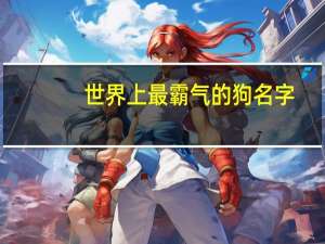 世界上最霸气的狗名字