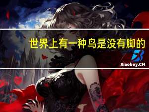 世界上有一种鸟是没有脚的