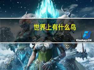 世界上有什么鸟