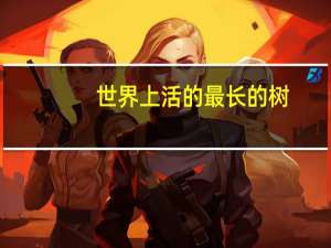 世界上活的最长的树