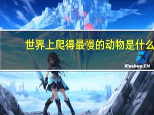 世界上爬得最慢的动物是什么
