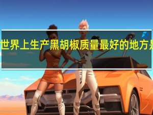 世界上生产黑胡椒质量最好的地方是哪里