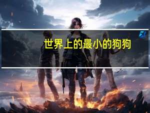 世界上的最小的狗狗