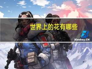 世界上的花有哪些