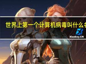 世界上第一个计算机病毒叫什么名字（世界第一个计算机病毒是什么）