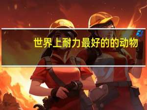 世界上耐力最好的的动物
