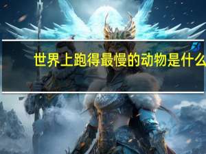 世界上跑得最慢的动物是什么