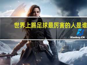 世界上踢足球最厉害的人是谁