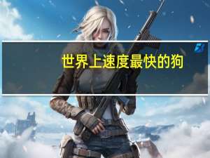 世界上速度最快的狗