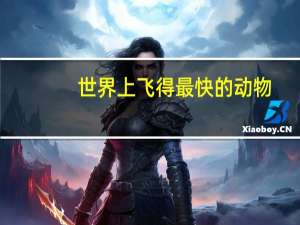 世界上飞得最快的动物