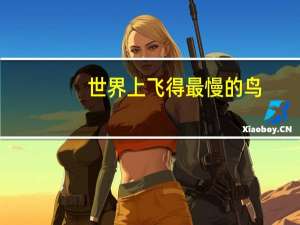 世界上飞得最慢的鸟
