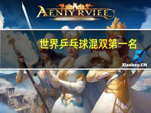 世界乒乓球混双第一名