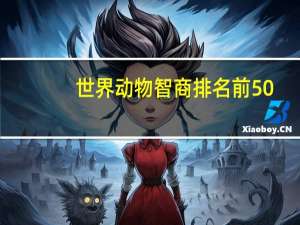 世界动物智商排名前50