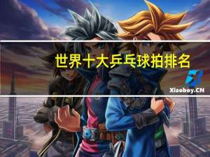 世界十大乒乓球拍排名