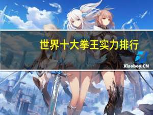 世界十大拳王实力排行