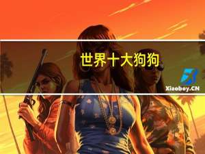 世界十大狗狗