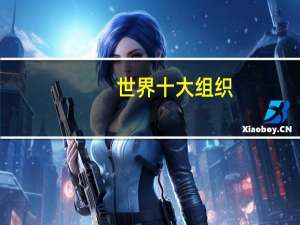 世界十大组织