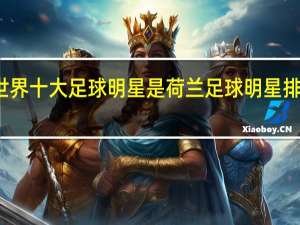 世界十大足球明星是 荷兰足球明星排名前十