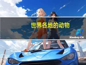 世界各地的动物