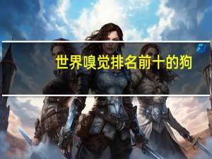 世界嗅觉排名前十的狗