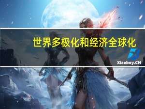 世界多极化和经济全球化