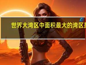 世界大湾区中面积最大的湾区是