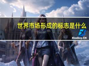 世界市场形成的标志是什么
