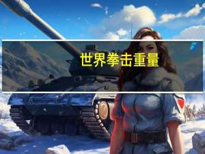 世界拳击重量
