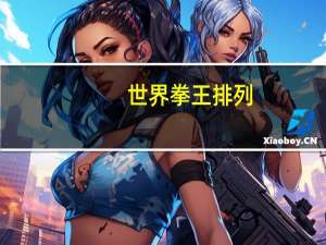 世界拳王排列