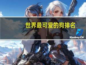 世界最可爱的狗排名
