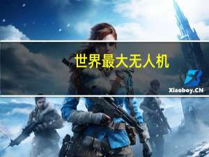 世界最大无人机