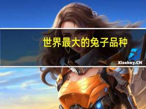 世界最大的兔子品种