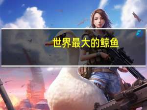 世界最大的鲸鱼
