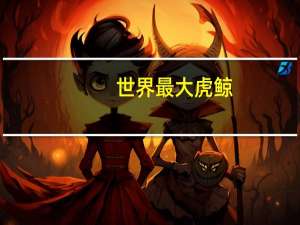 世界最大虎鲸