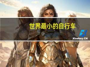 世界最小的自行车