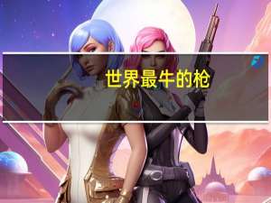 世界最牛的枪
