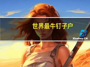 世界最牛钉子户