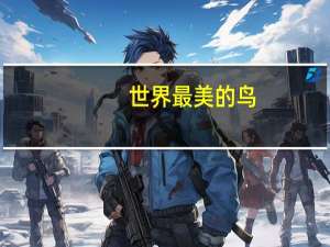 世界最美的鸟