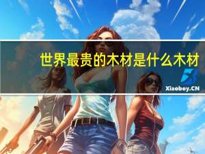 世界最贵的木材是什么木材