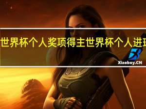 世界杯个人奖项得主 世界杯个人进球排名
