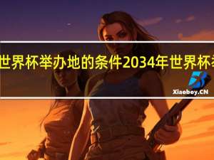 世界杯举办地的条件 2034年世界杯举办地