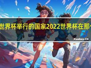 世界杯举行的国家 2022世界杯在那个国家