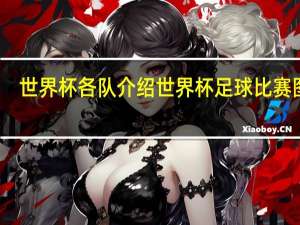世界杯各队介绍 世界杯足球比赛图片