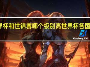 世界杯和世锦赛哪个级别高 世界杯各国排名顺序