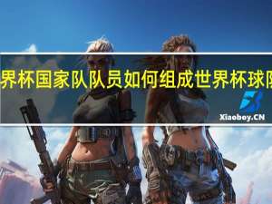 世界杯国家队队员如何组成 世界杯球队有哪些
