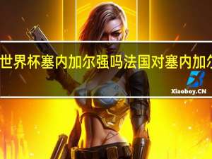 世界杯塞内加尔强吗 法国对塞内加尔0比1